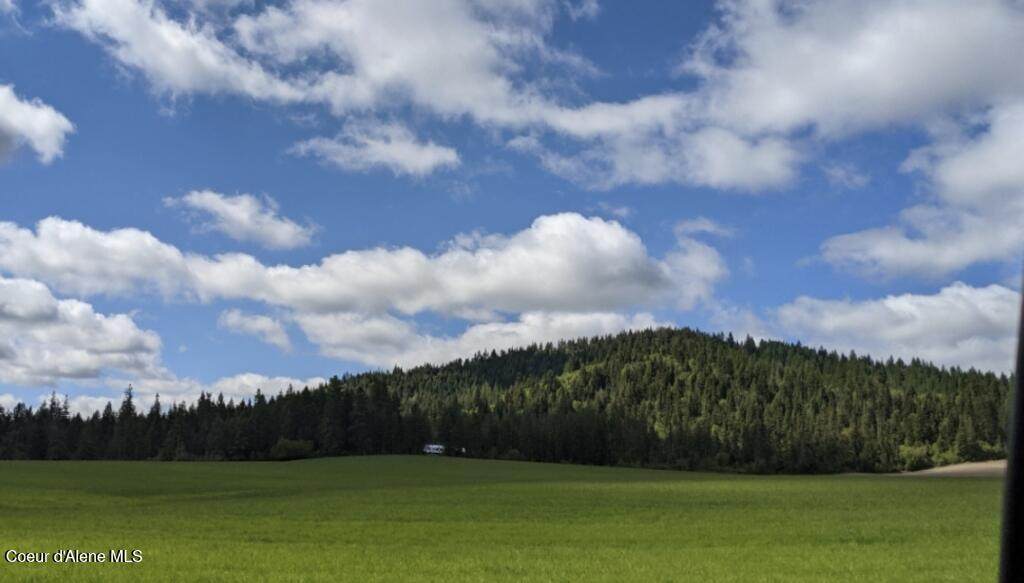 352 Camarillo Ln - Photo 1