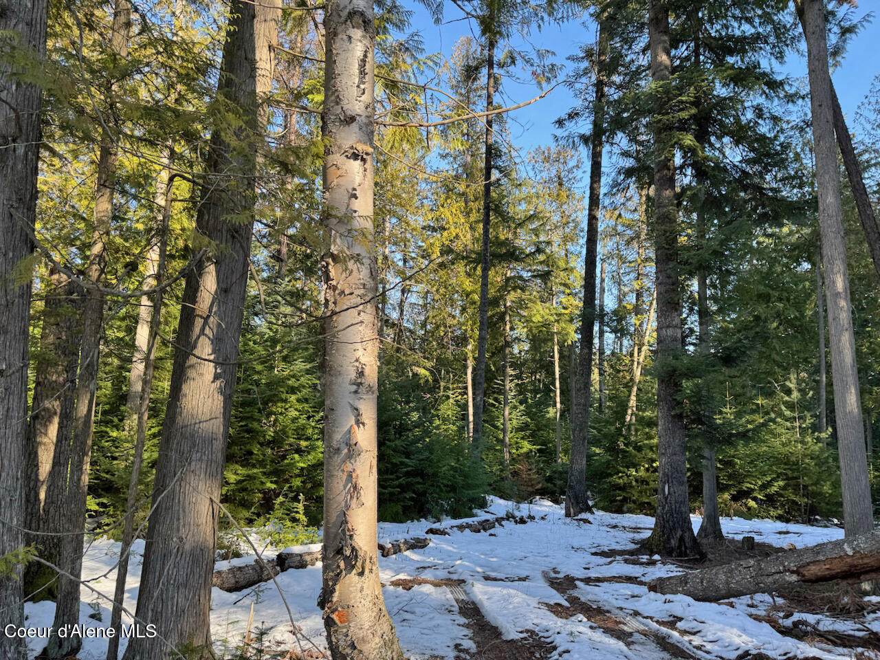 9775 Bottle Bay Rd - Photo 1