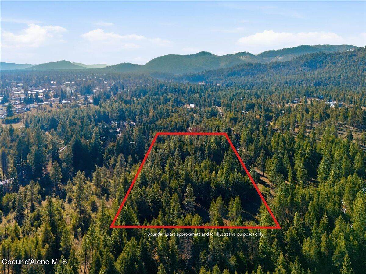 33482 Charlotte Dr - Photo 1