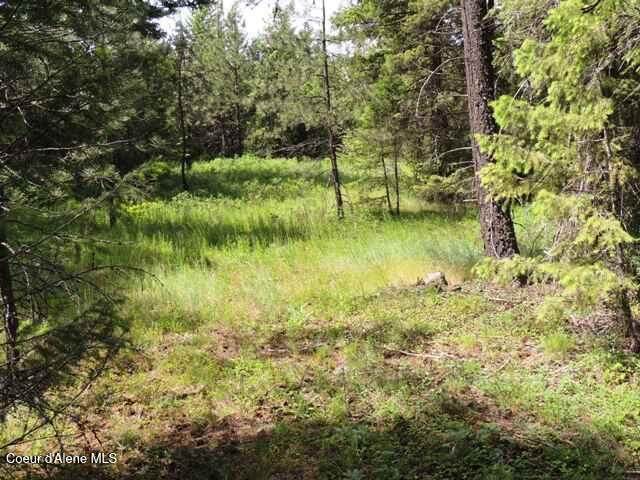 NKA Antler Ln - Photo 1