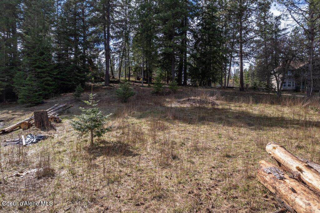 NKA Ponderosa Road Rd - Photo 1