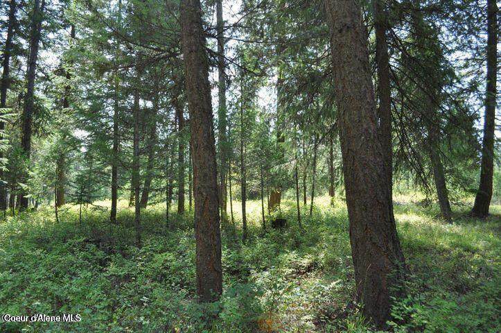 39 Forest Ridge Rd - Photo 1