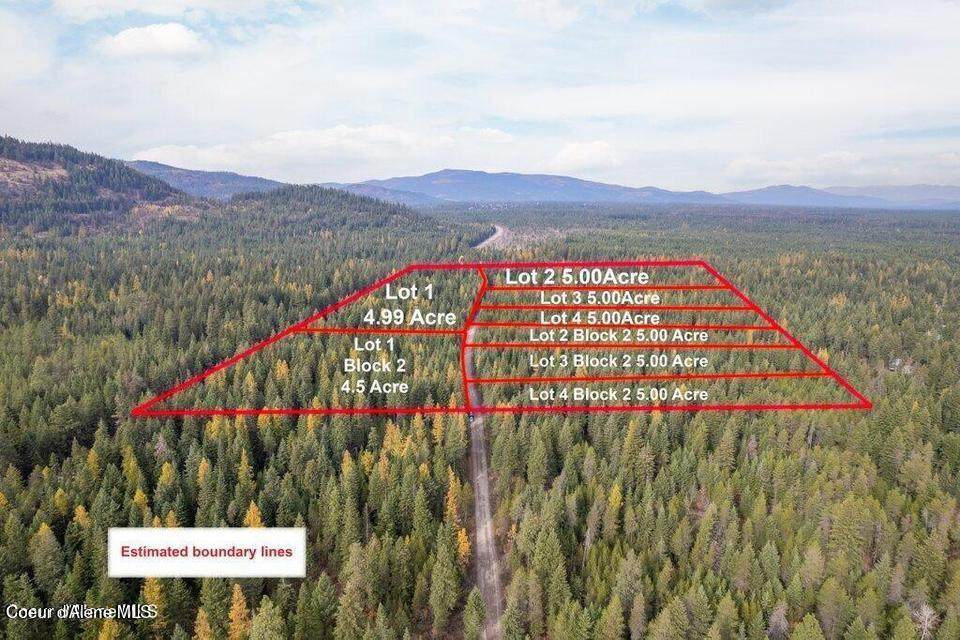 Lot 3 Bl 2 N Peak Rd - Photo 1