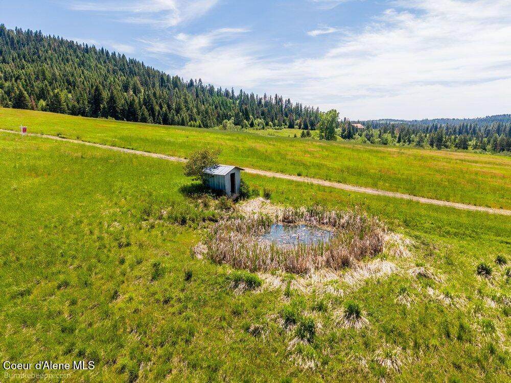 Tract C Thimbleberry Lane - Photo 1