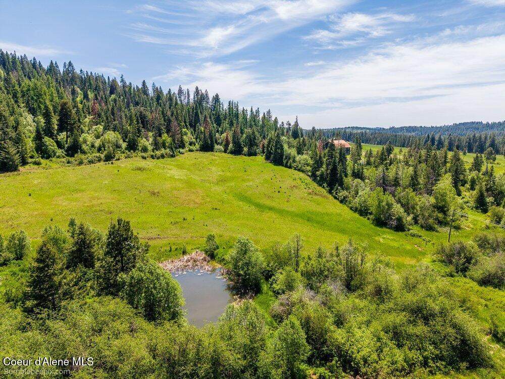 Tract E Thimbleberry Lane - Photo 1