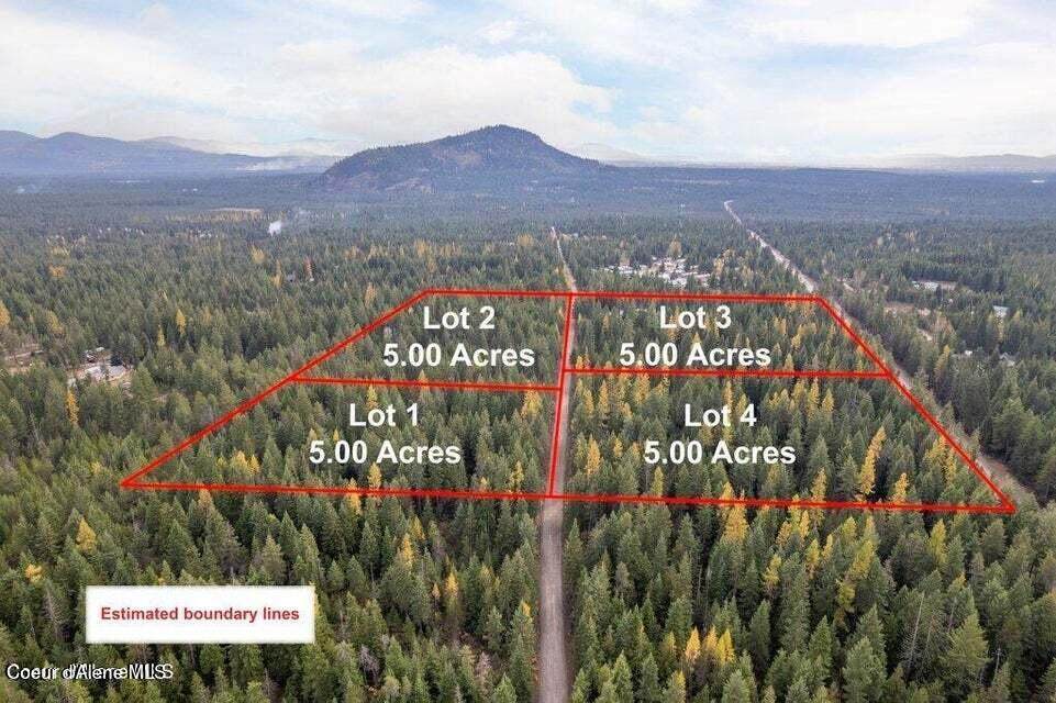 Lot 3 Peak Rd - Photo 1