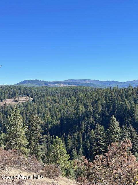 Lot 2 Flat Creek Rd - Photo 1