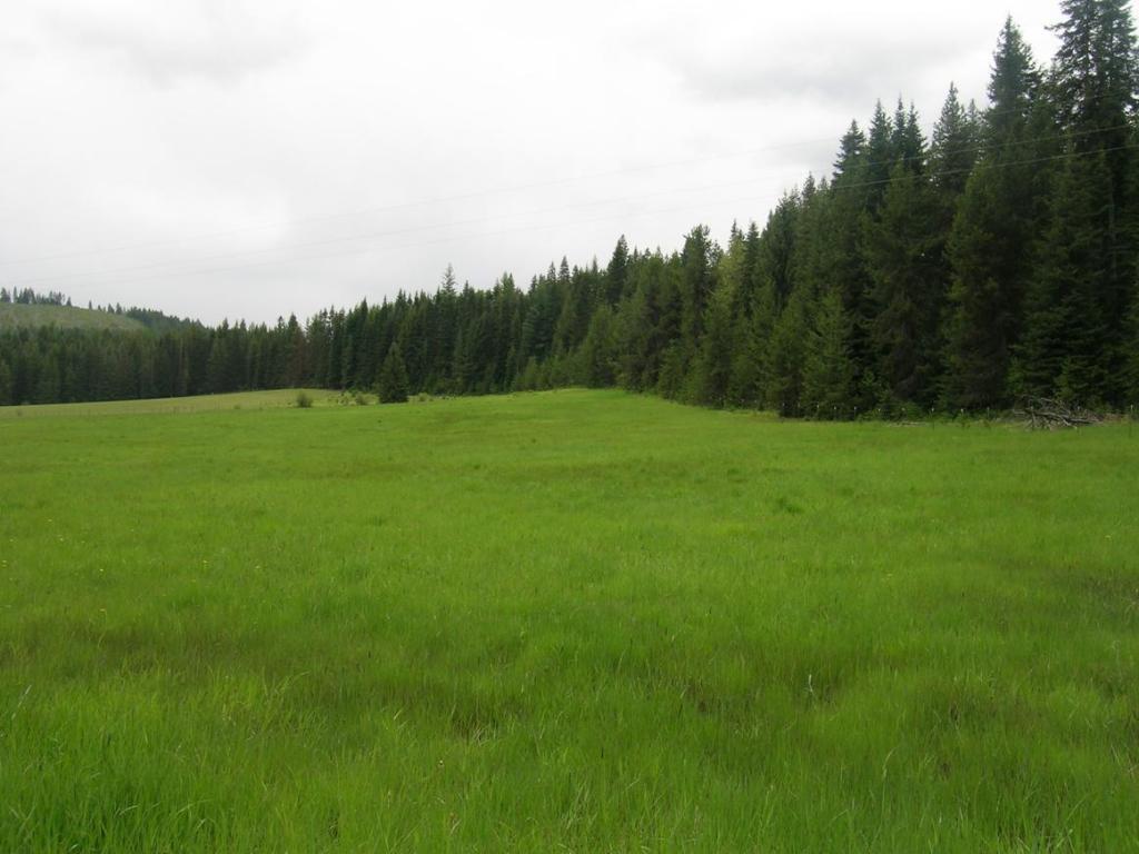 NKA Hwy 6 & Hwy 3 - Photo 1
