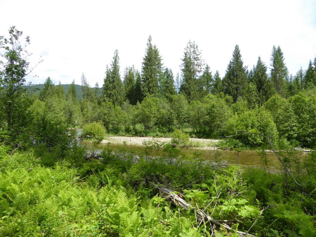 Lot 7 Clearwater Estates - Photo 1