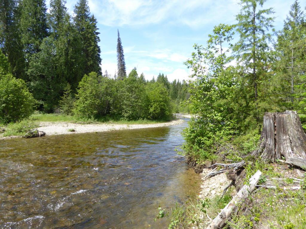 Lot 6 Clearwater Estates - Photo 1
