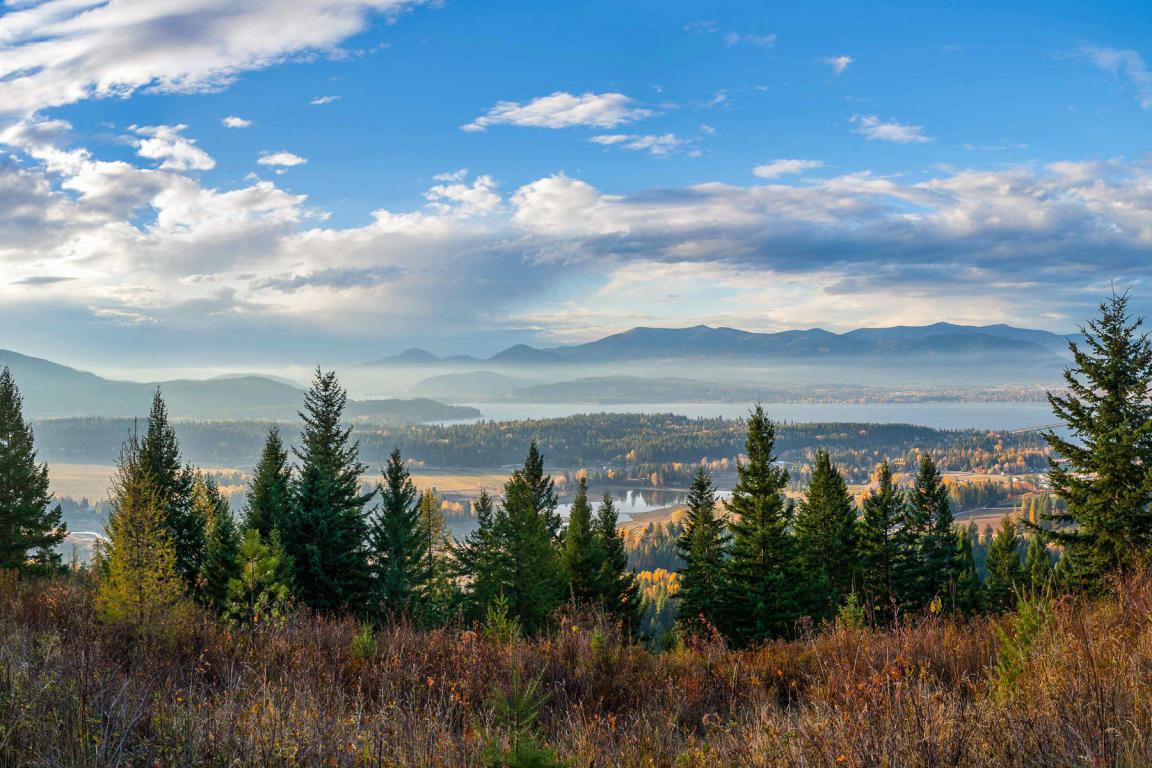 NKA Forever View Road - Photo 1