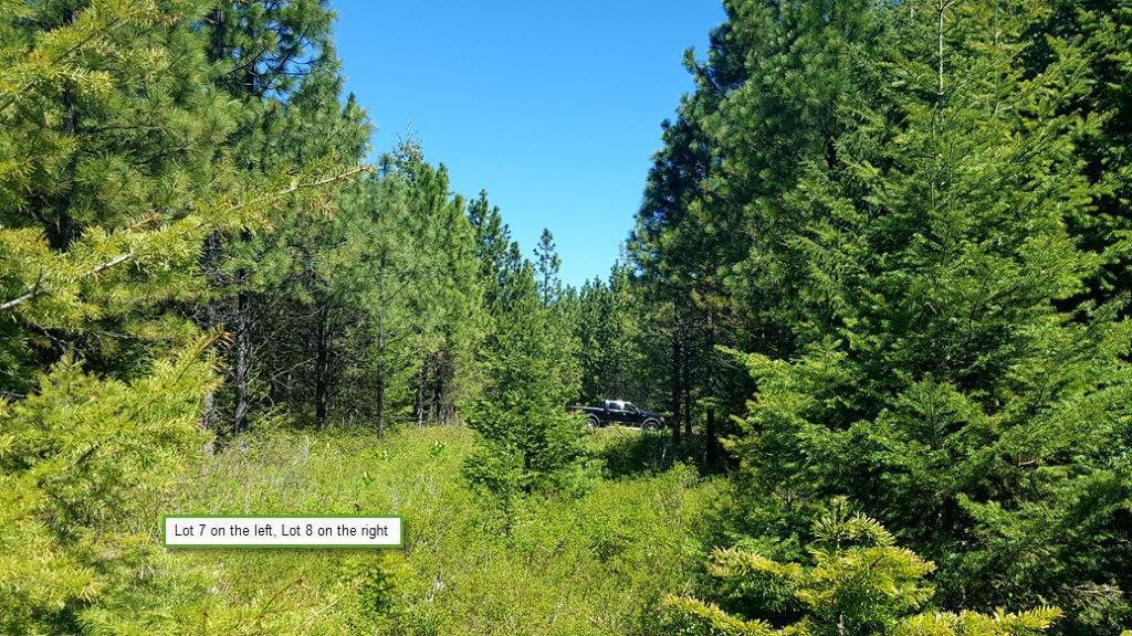 NKA State Hwy. 11 & Green Rd. - Photo 1
