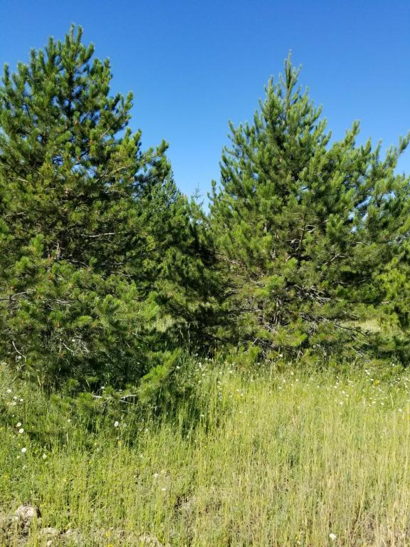 TBD Kreiger Creek Rd - Photo 1