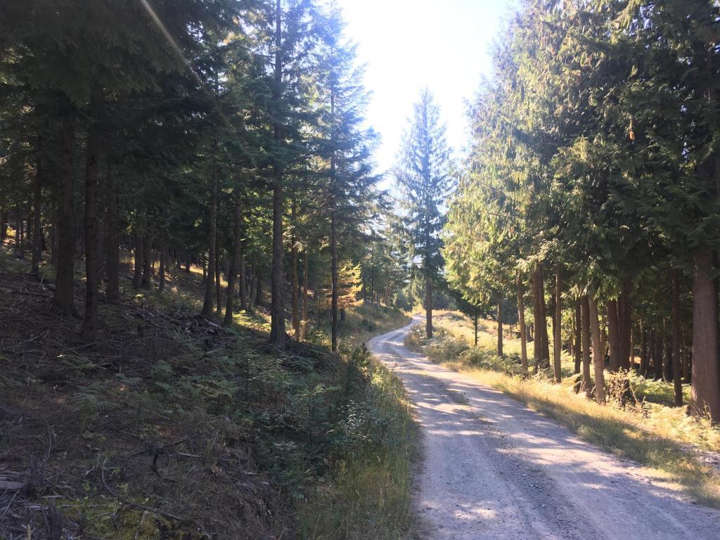 NKA Moose Mountain Ln - Photo 1