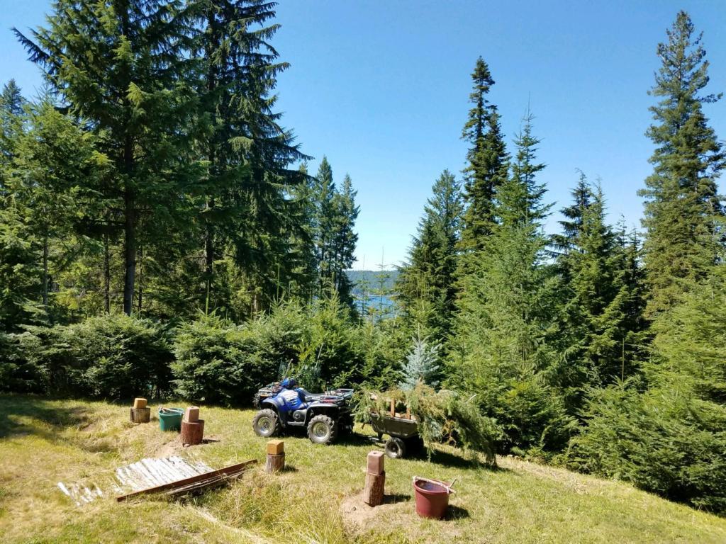 783 Cliff View - Photo 1