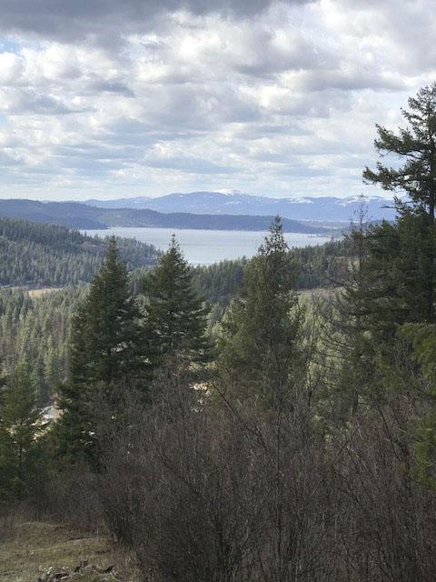 Nna Caribou Ridge Rd - Photo 1