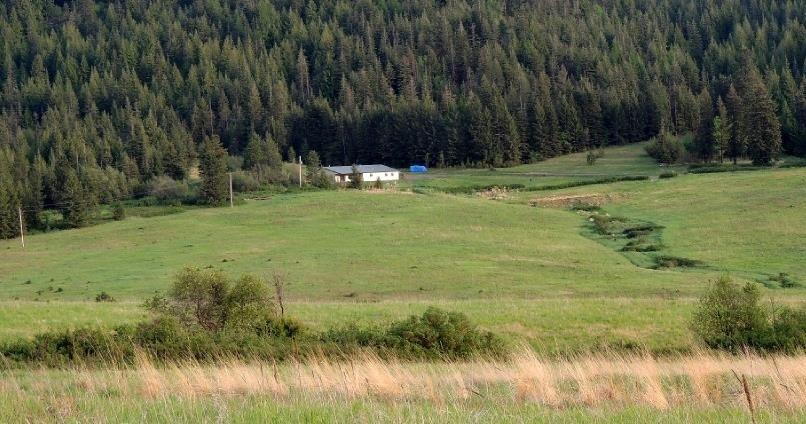 3603 Windfall Pass Rd - Photo 1