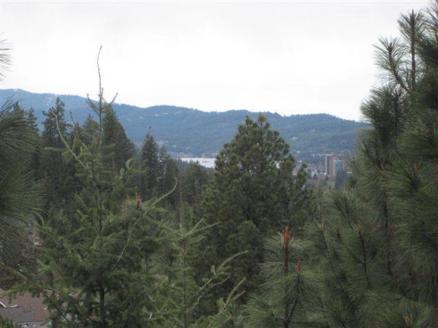 3423 Sky Harbor Dr - Photo 1