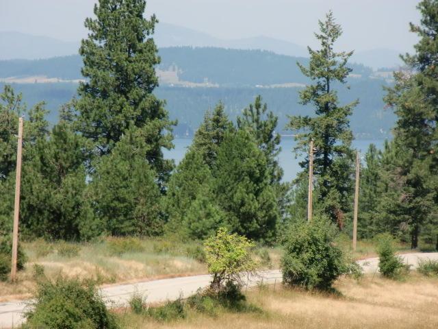 Lot 5 Half Round Bay Rd - Photo 1