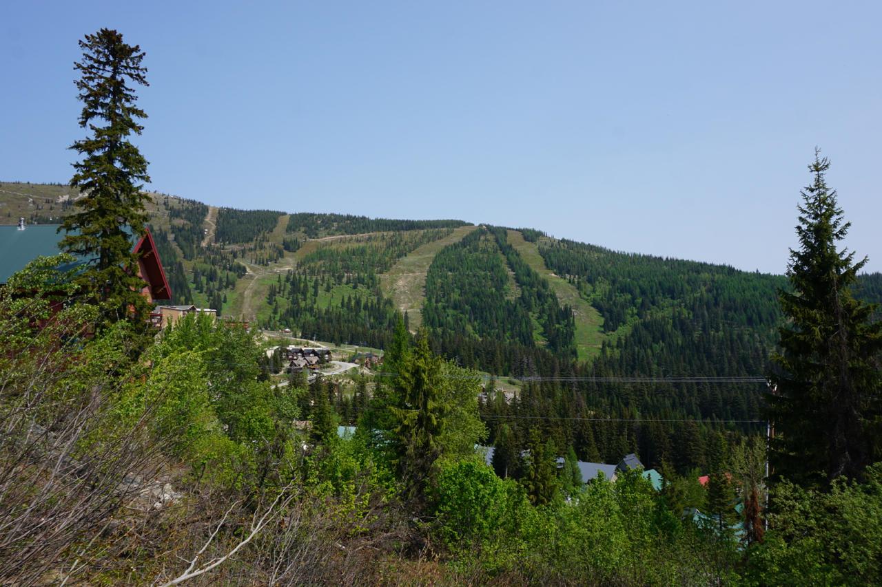 NNA Parallel Run - Photo 1