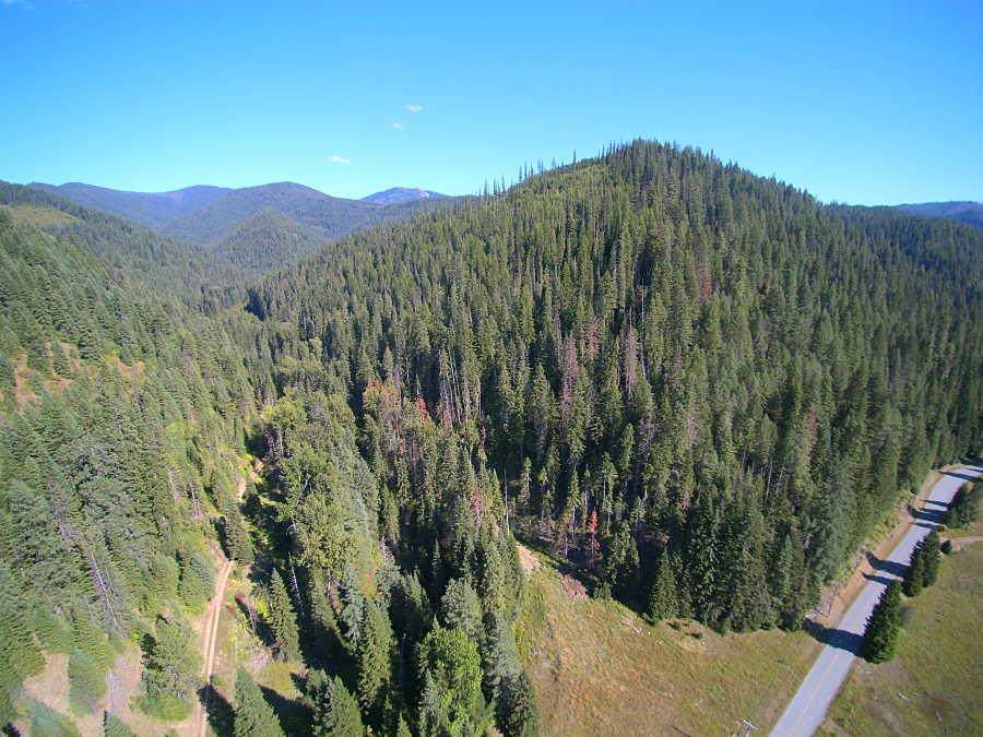 NNA Beaver Creek Road - Photo 1
