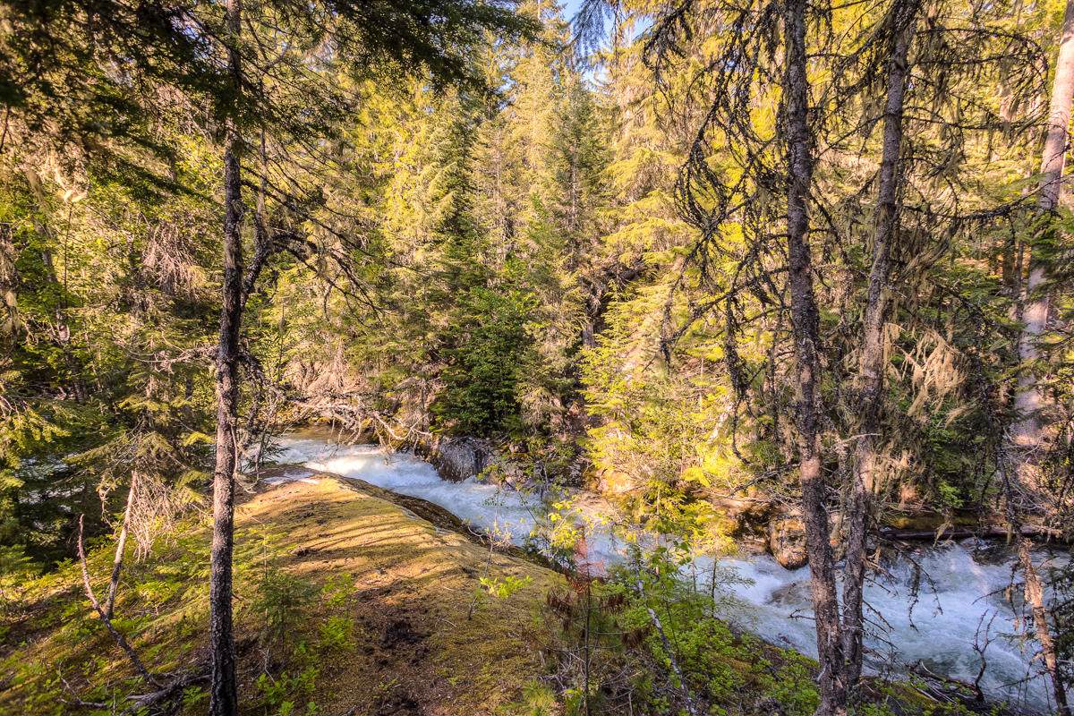 Lot 27 Ridgeview Lane - Photo 1