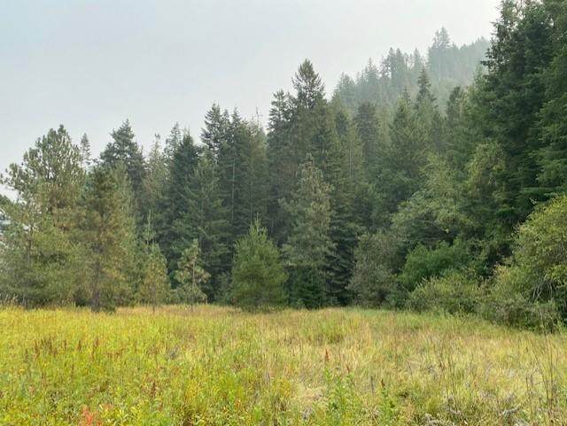 NKA 44.92 Ac - Photo 1