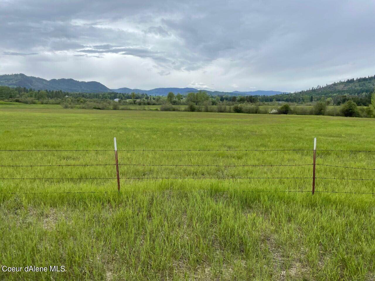 NKA Peninsula Rd 252+/- Acres - Photo 1