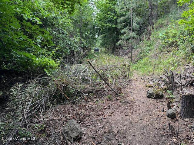  Nka .22 Acres - Photo 1