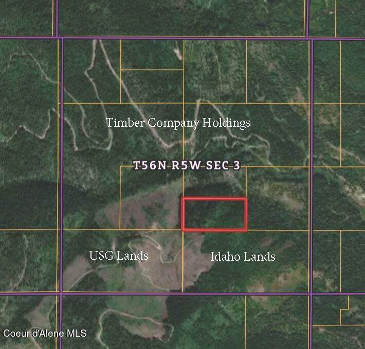 NKA Bodie Canyon Road - Photo 1