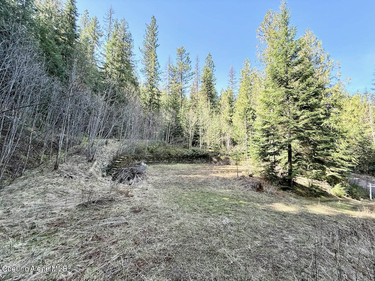 498 Revenue Gulch Rd - Photo 1
