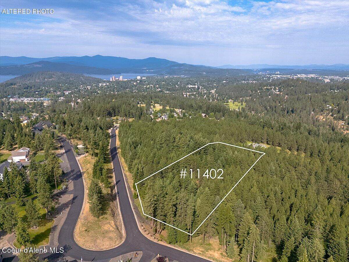 TBD Frosty Pines Trail - Photo 1