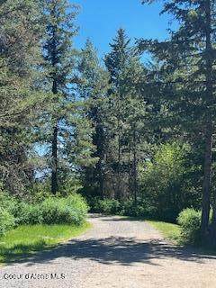 890 Pokey Creek Rd - Photo 1