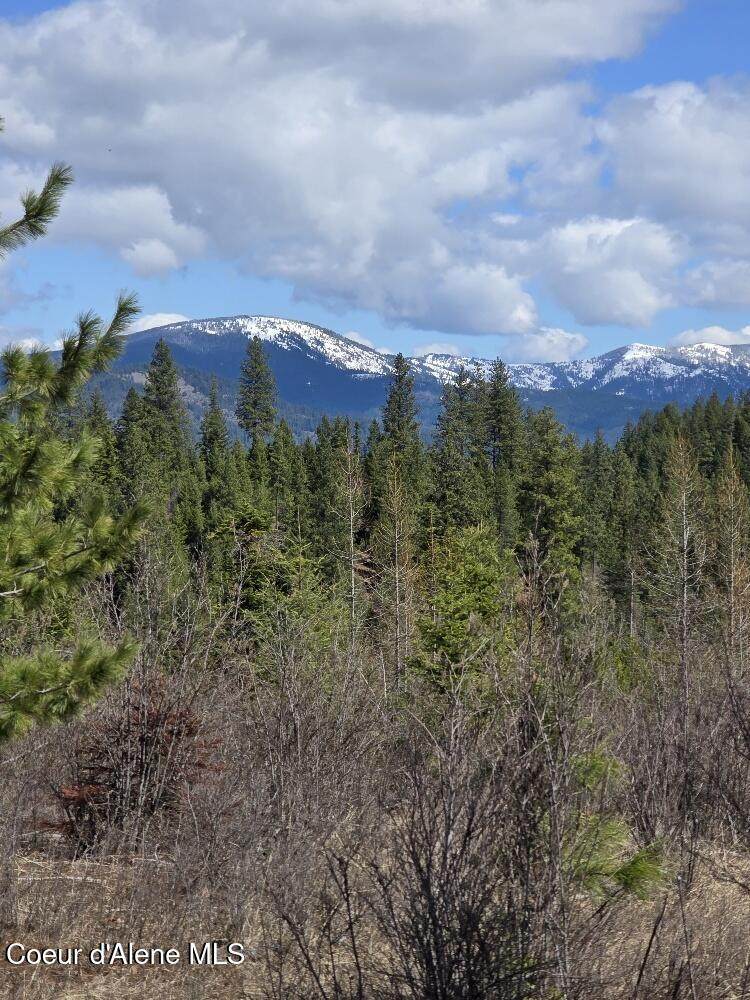 NKA Mutch Creek Road - Photo 1