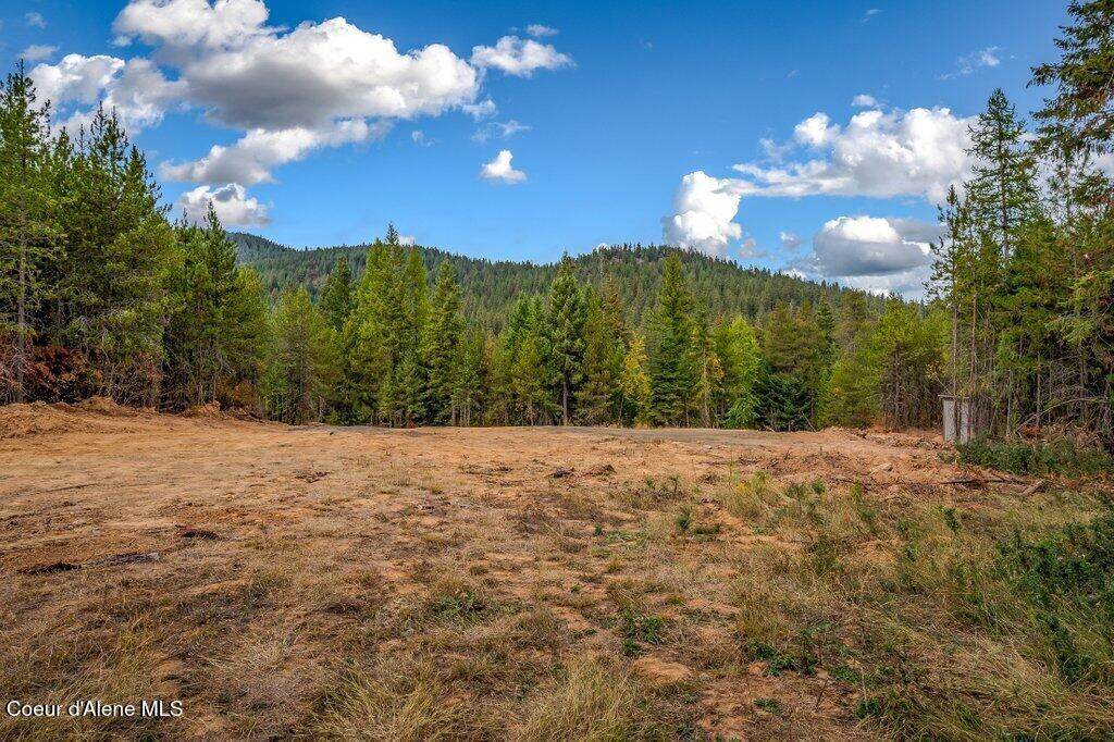 10464 Thompson Rd - Photo 1