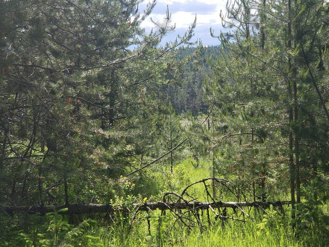 NKA Sunset Hill Rd - Photo 1