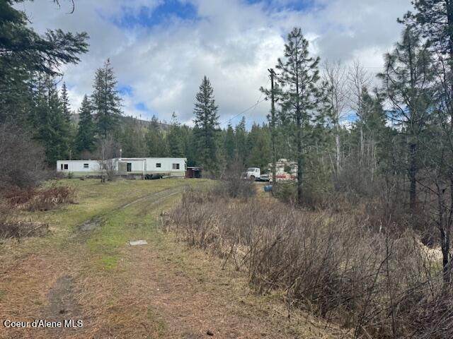 1015 Fork Coon Creek Rd - Photo 1