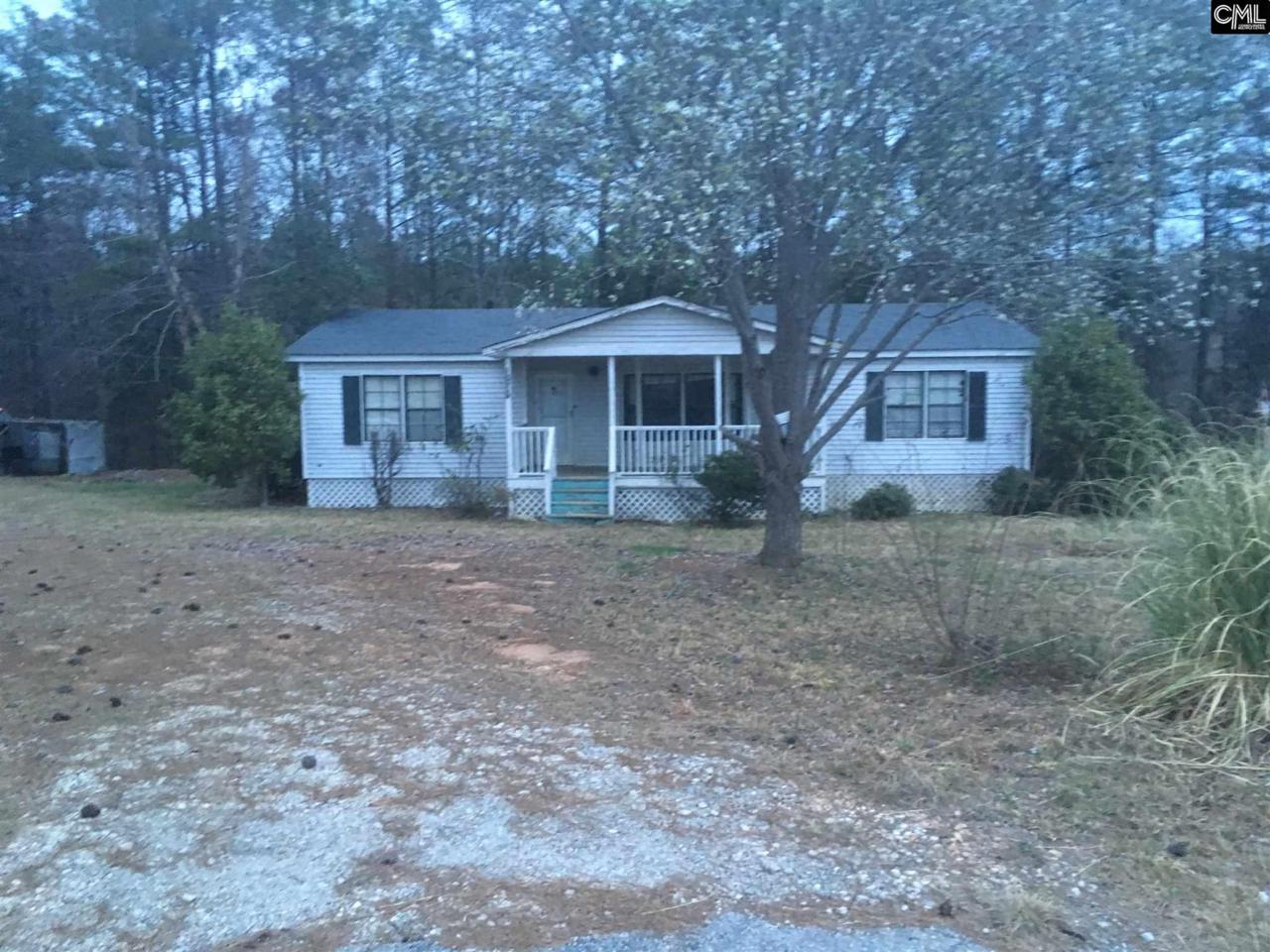 1076 Old Douglas Road - Photo 1