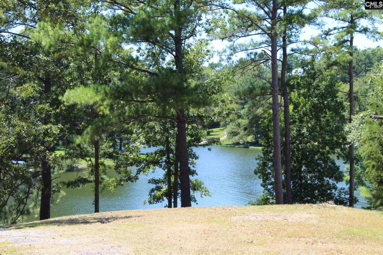 1120 Lester Keisler Road - Photo 1