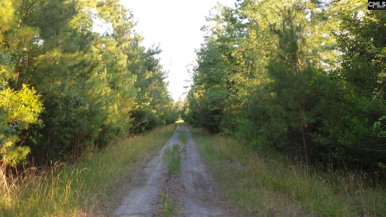 Hemmingway Road - Photo 1