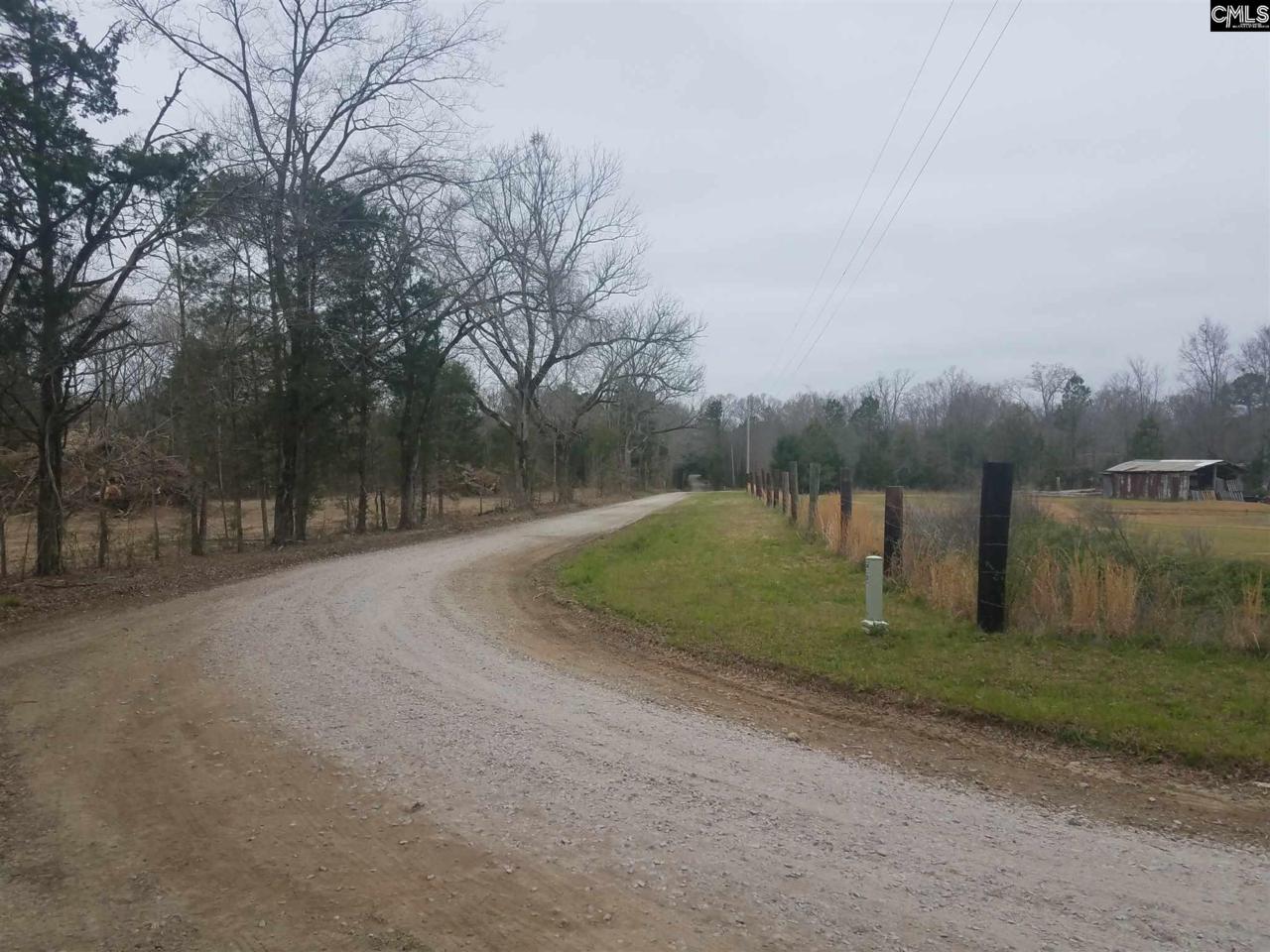 S/S Mt Olivet Church Road - Photo 1