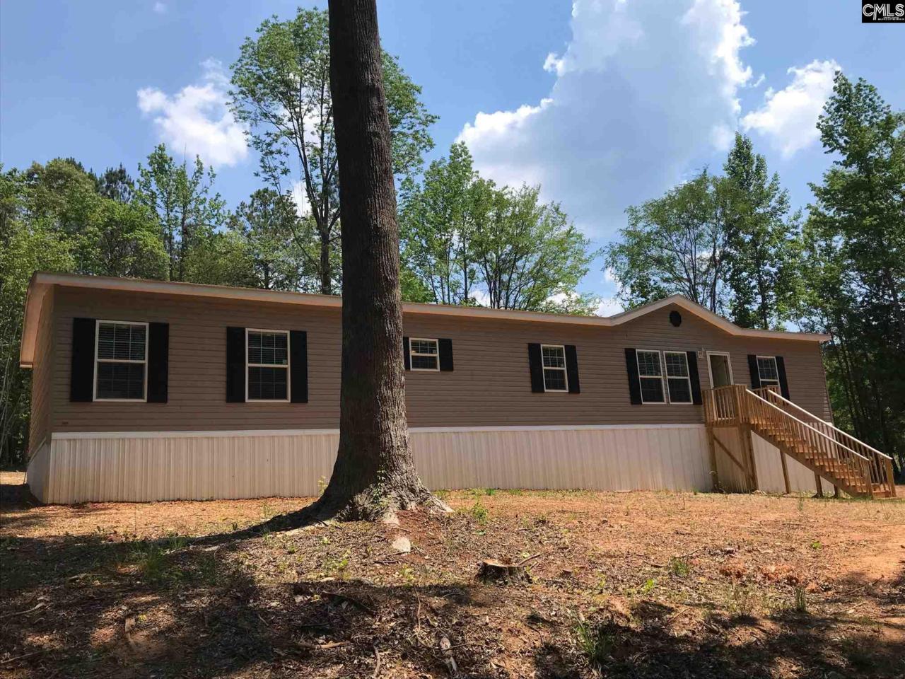 256 Old Shealy Road - Photo 1