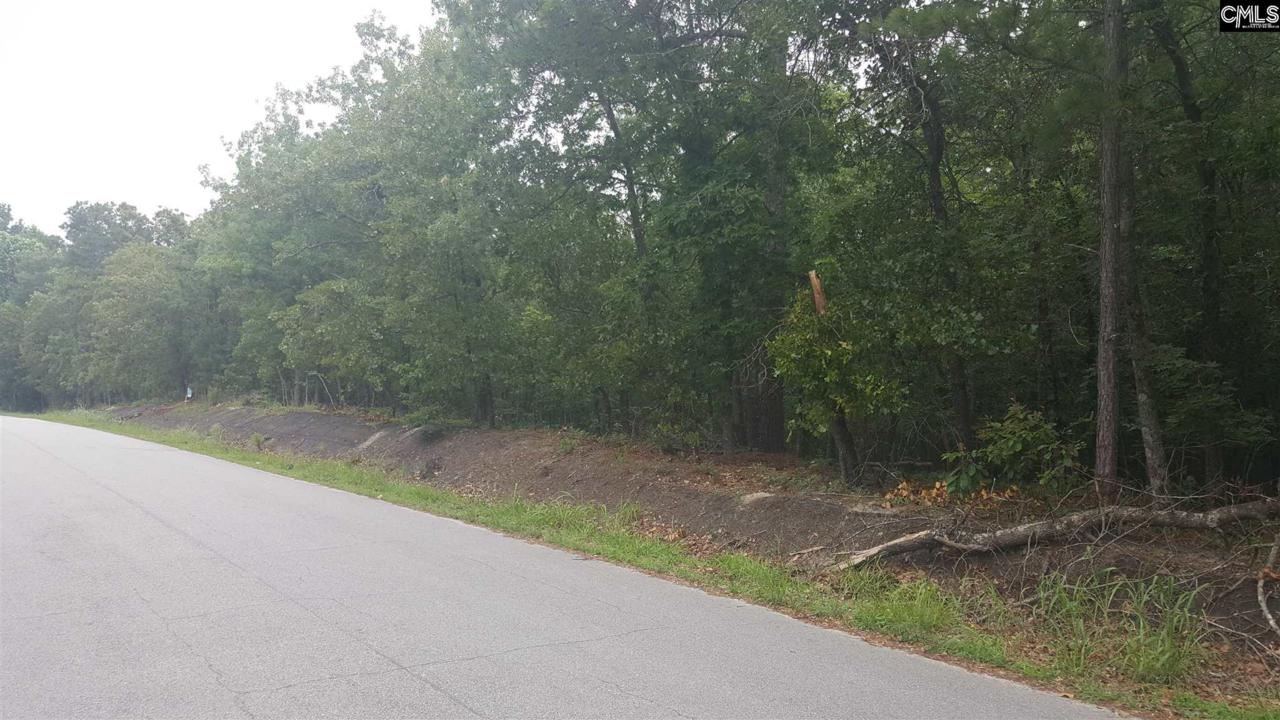 313 Overlook Drive - Photo 1