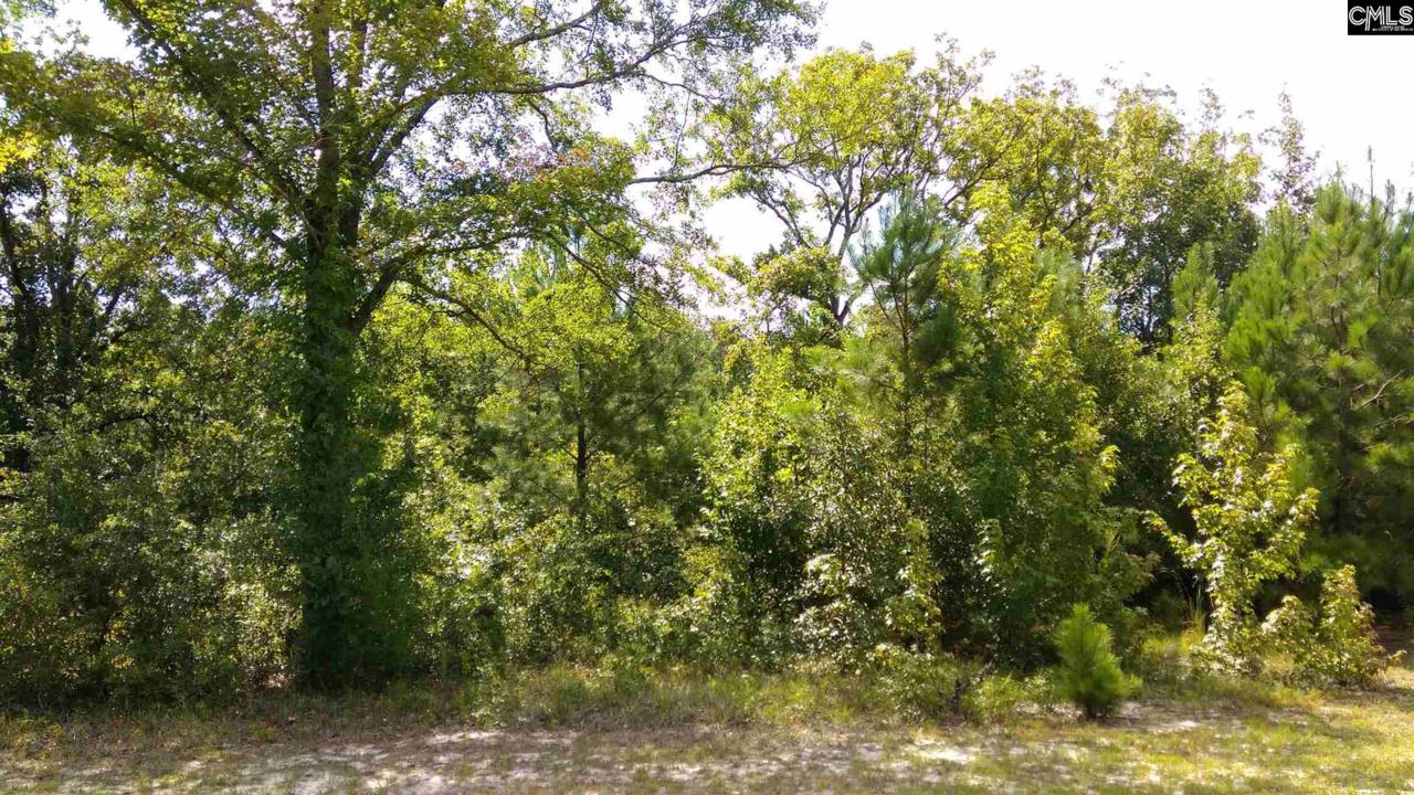 253 Bass Road - Photo 1