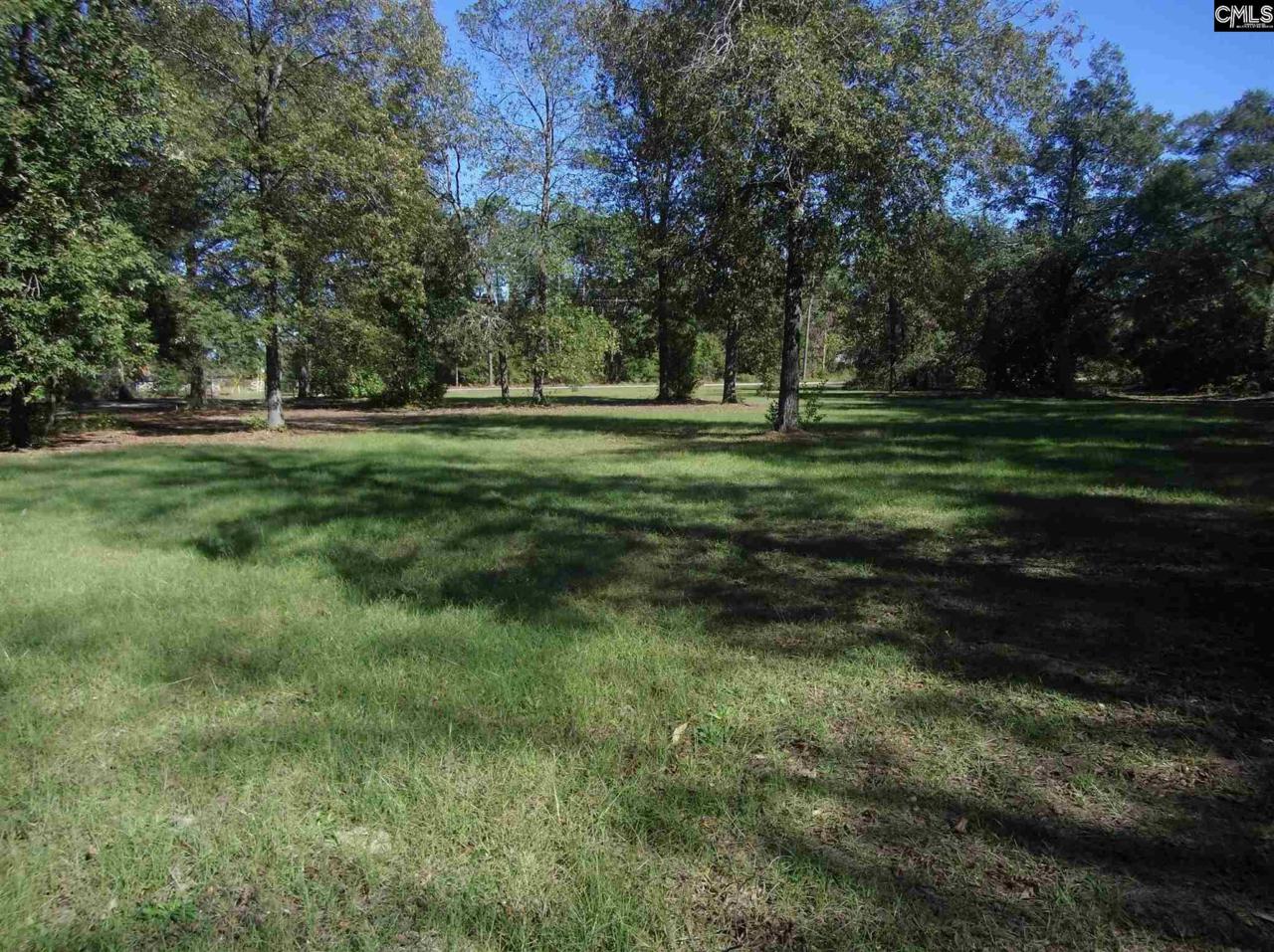 277 Charer Oak Road - Photo 1