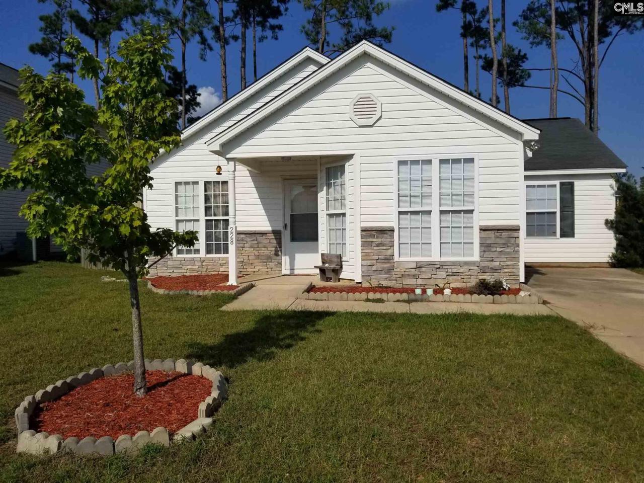 228 Stagone Lane - Photo 1