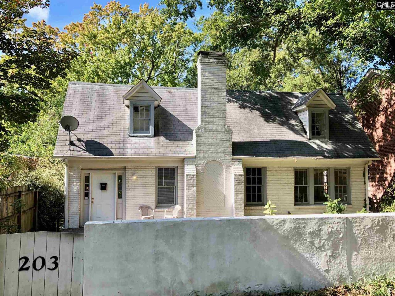 203 Harden Street - Photo 1
