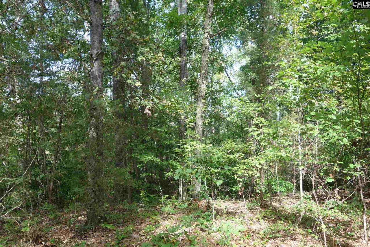 869 Corley Mill Road - Photo 1