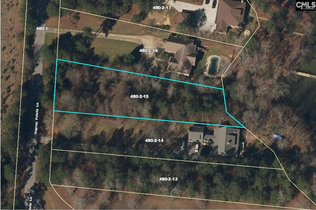Osprey Pointe Lane - Photo 1