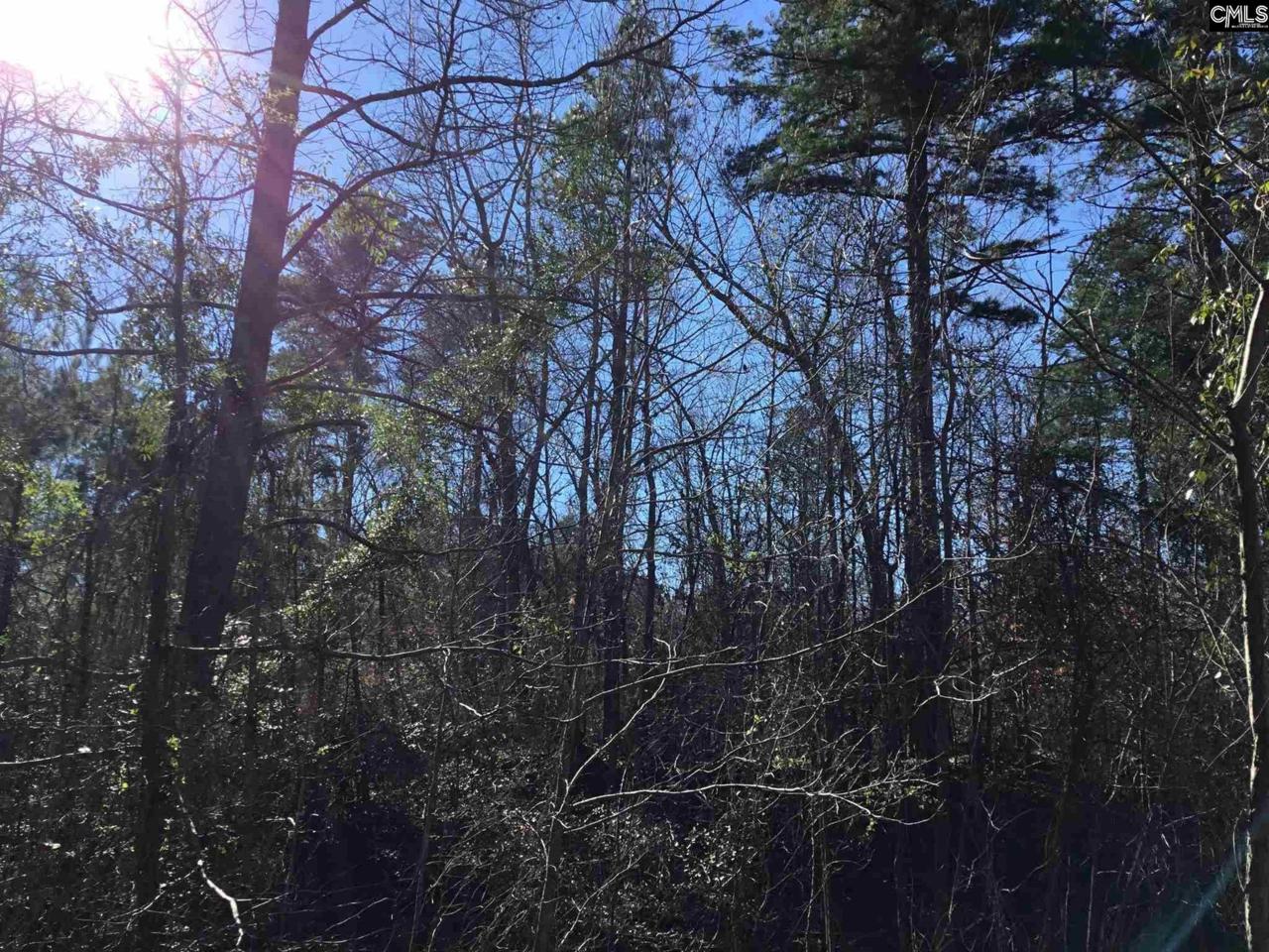 River Ridge - Photo 1